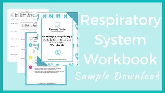 Downloadable TEAS Study Guide Respiratory System