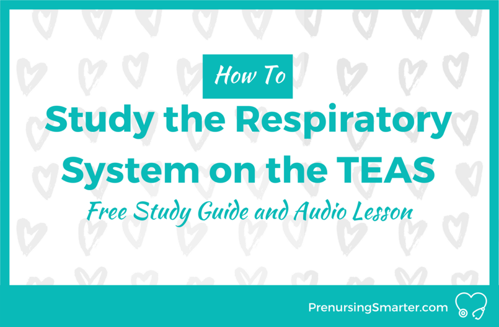 How to Study the Respiratory System for the TEAS Science Section