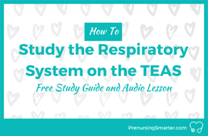 How to Study Respiratory System TEAS