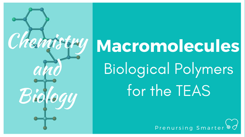 ATI TEAS Biology Marcromolecules