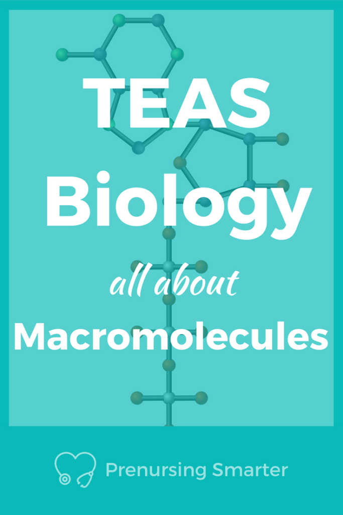 TEAS biology Macromolecules TEAS biology prep