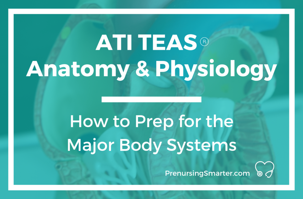 ATI TEAS Anatomy and Physiology: <br> How to Prep for the Major Body Systems