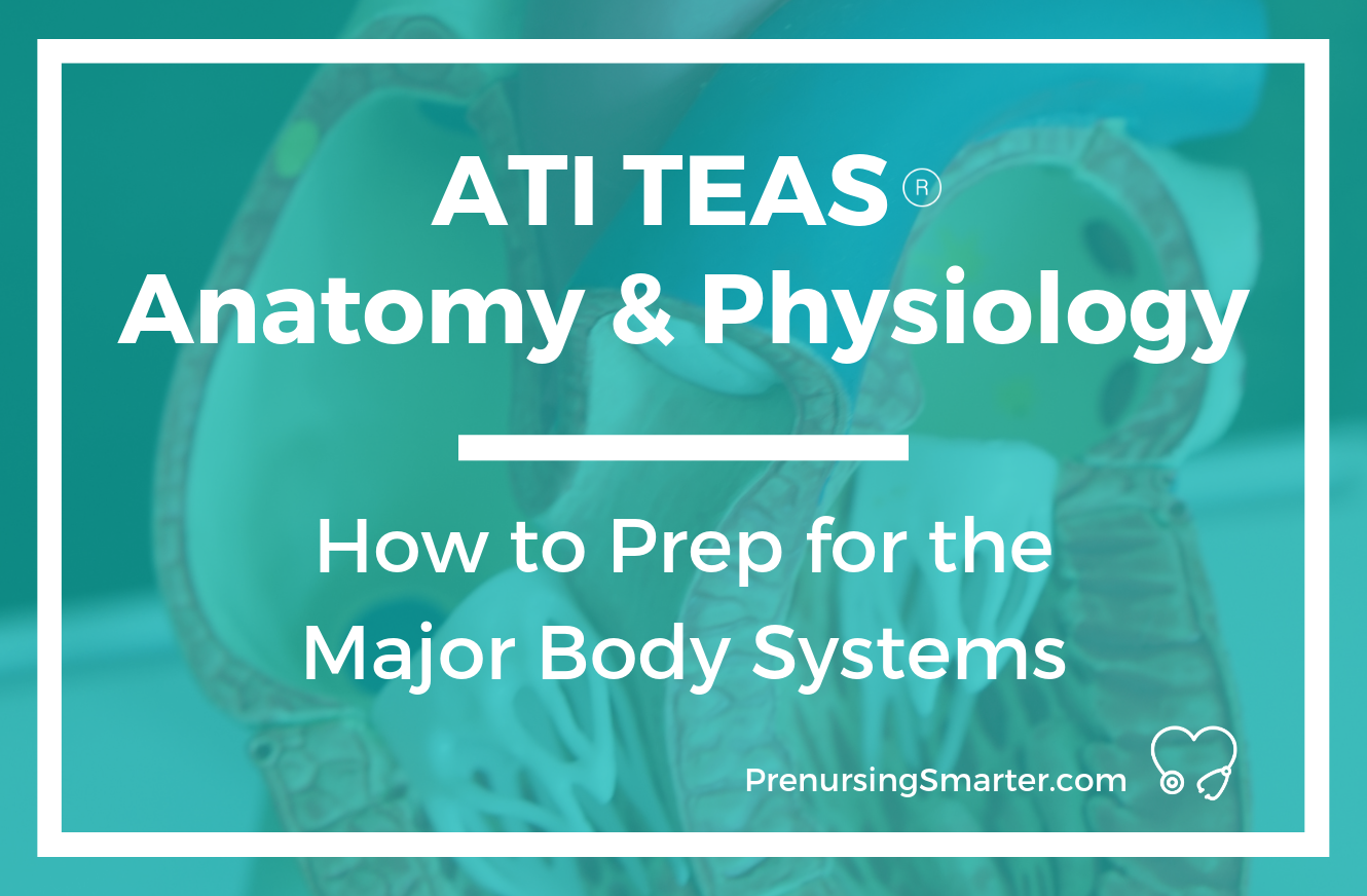 ATI TEAS Anatomy and Physiology:  How to Prep for the Major Body Systems