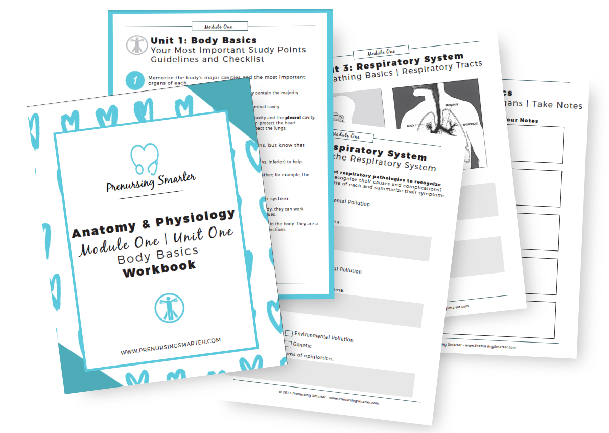 ati teas workbooks download ati teas workbooks download