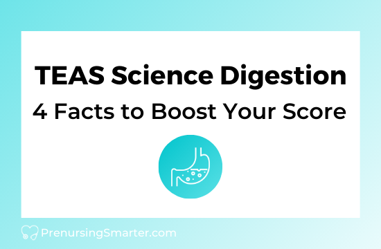 TEAS Science Digestion: 4 Facts You Need to Know