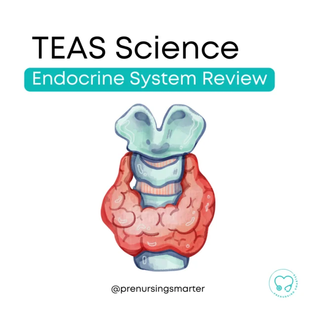 ENDOCRINE SYSTEM for the TEAS.⁠
⁠
You'll need to know:⁠
⁠
+ Important glands, including general body location, hormones, and how they communicate with other body systems and target tissues.⁠
⁠
+ Different hormones, including polar and non-polar hormones⁠
⁠
+ Feedback loops, including examples of positive and negative feedback loops in the body.⁠
⁠
Prenursing Smarter students can find the complete lesson in the Anatomy & Physiology section, Module 3.⁠
⁠
⁠
Anything else you'd add for the endocrine system on the TEAS?⁠
⁠
⁠
⁠
⁠
⁠
⁠ATI TEAS® is a registered trademark of Assessment Technologies Institute, LLC.⁠
⁠
⁠
⁠
⁠
#teastest #atiteas #prenursing ⁠
#prenursingstudent #surgtech #lpn #dentalhygiene #dentalhygienist #cna