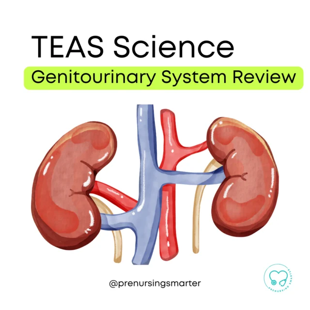 STUDY TIP: Kidney facts for the TEAS.⁠⁠...⁠
⁠⁠
The nephron is the functional unit of the kidney. ⁠⁠
It both filters and excretes. ⁠⁠
⁠⁠
The glomerulus, which is also important to know for the TEAS, is the filtering region of the nephron.⁠⁠
⁠⁠
About 85 percent of nephrons are in the kidney's cortex.⁠⁠
⁠⁠
What are some important functions of the kidneys?⁠⁠
⁠⁠
⁠⁠
⁠⁠
⁠
⁠ATI TEAS® is a registered trademark of Assessment Technologies Institute, LLC.⁠
⁠
⁠
⁠
⁠
#teastest #atiteas #prenursing ⁠
#prenursingstudent #surgtech #lpn #dentalhygiene #dentalhygienist #cna